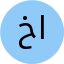 خانم امیری