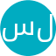 سلجوقی