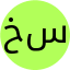 خانم سلیمی